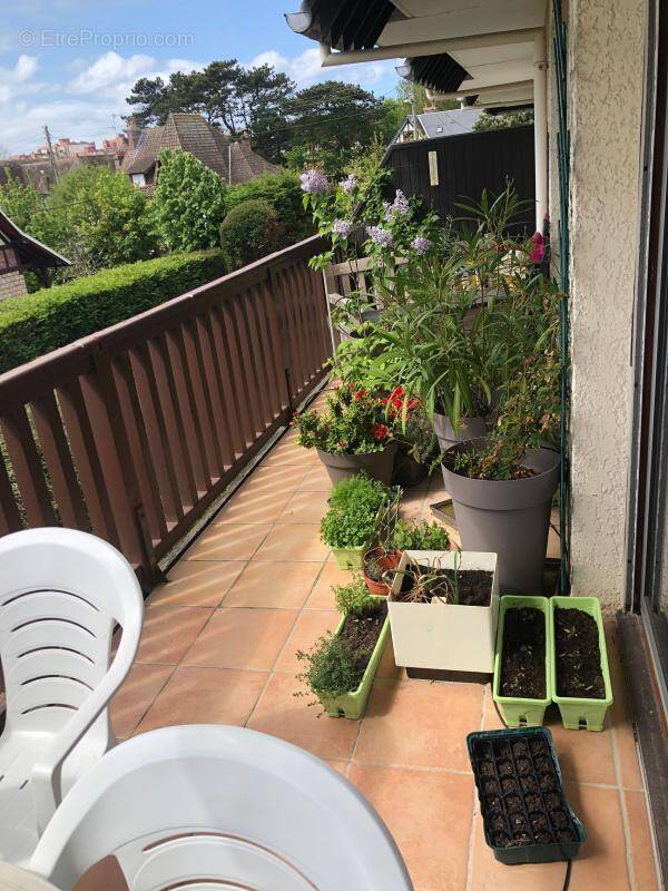 Appartement à CABOURG