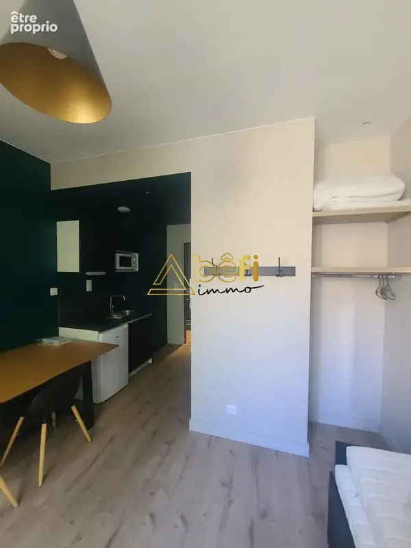 Appartement 430 m² à vendre à Saint-Etienne (42000) - photo 4