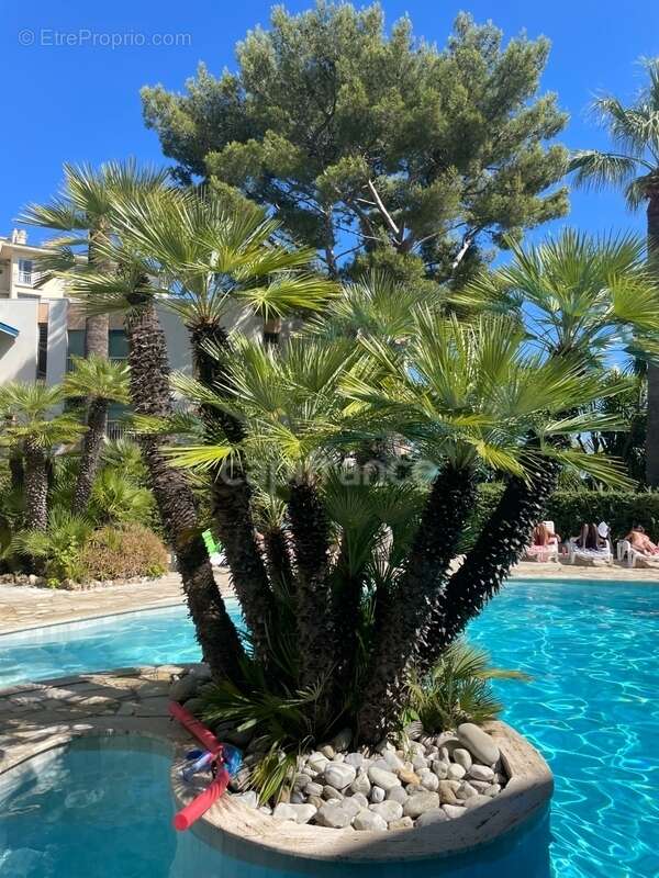 Cannes, 100m de la plage, piscine extérieure, intérieure, sauna, hammam, possibilité garage en sous-sol - photo 7