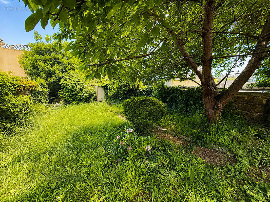 Maison de ville sur 314m2 de terrain clos - photo 10