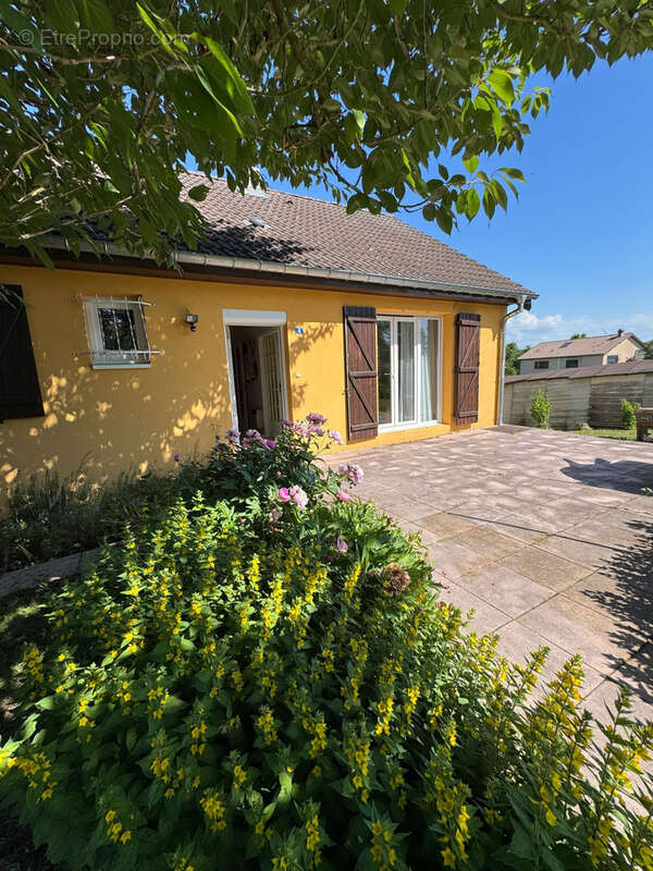 Maison à SILTZHEIM