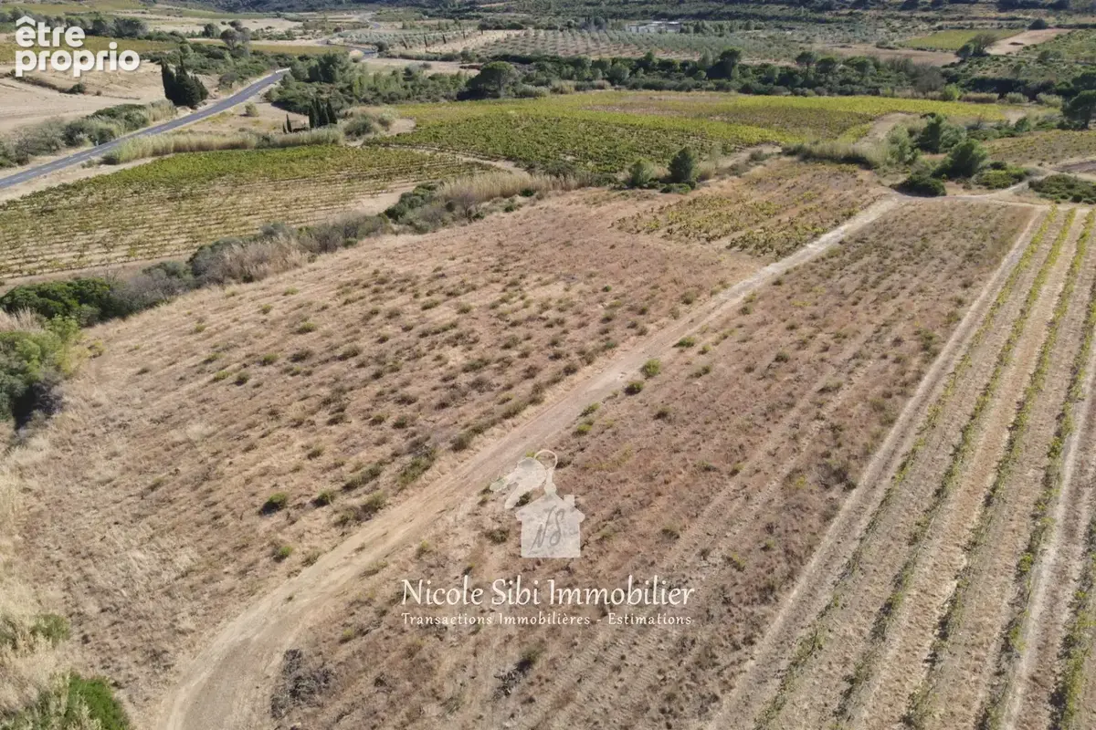 Terrain 36 342 m² à vendre à Tautavel (66720) - photo 5