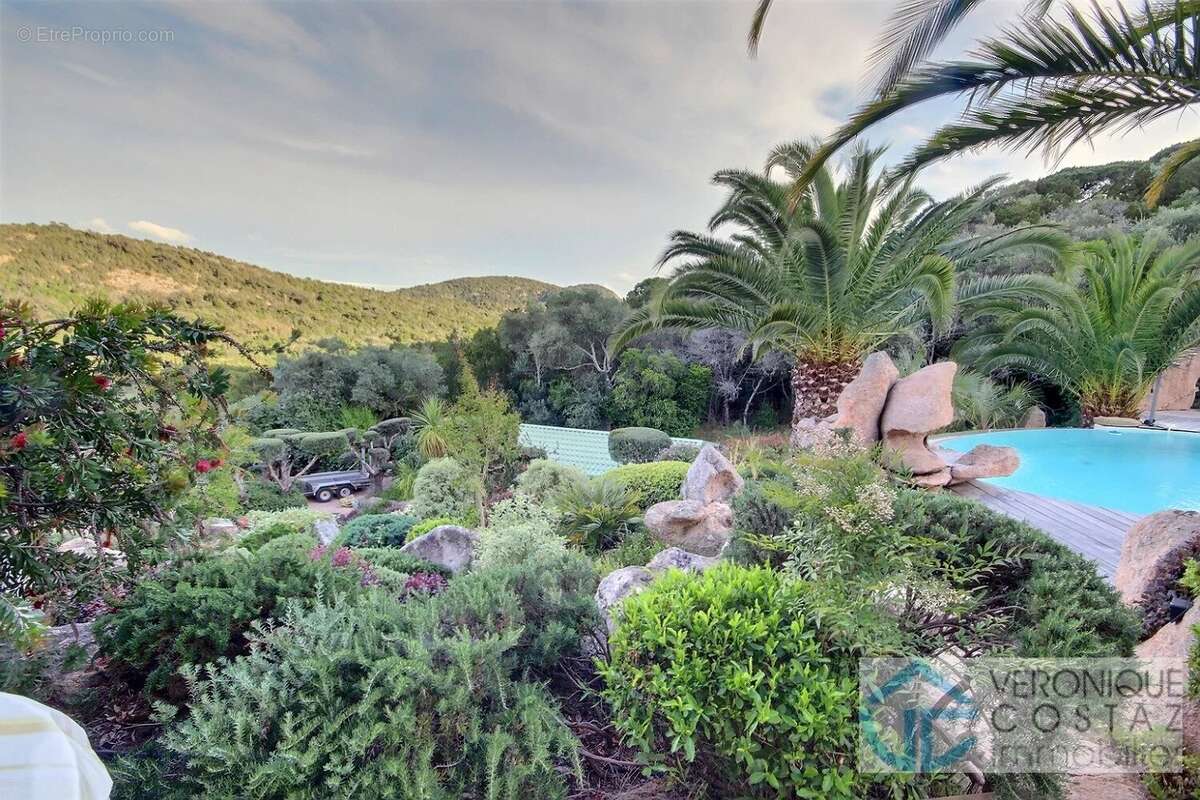 Maison à PORTO-VECCHIO