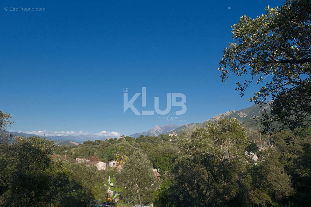 Terrain à CUTTOLI-CORTICCHIATO