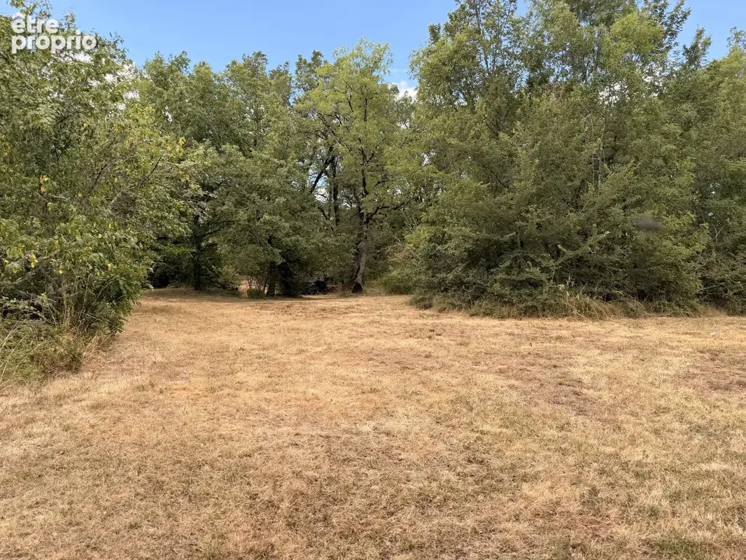 Maison Traditionnelle T5 - 142m2 sur 6300m2 de jardin - photo 14