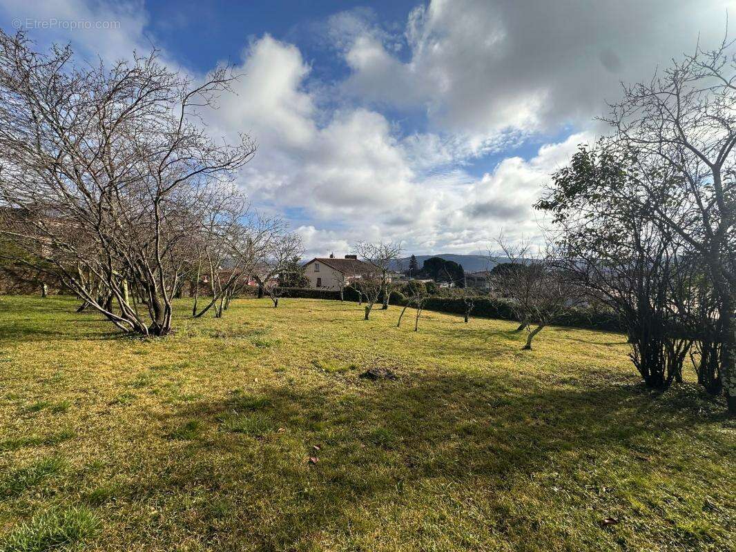 Terrain À Vendre - photo 2