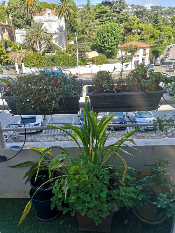  proche centre et croisette duplex t7 de 230m2  terrasse prix 669999€ - photo 5