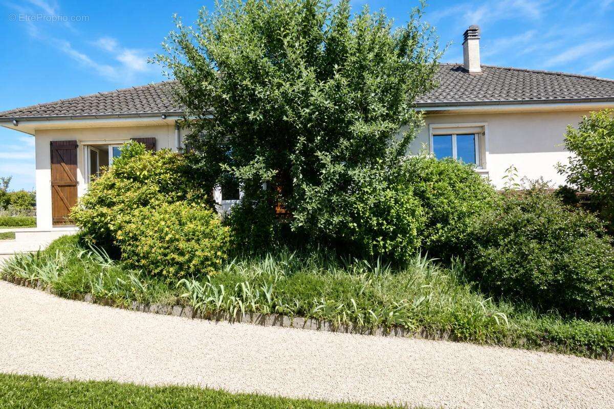 Maison à CONDAT-SUR-VIENNE