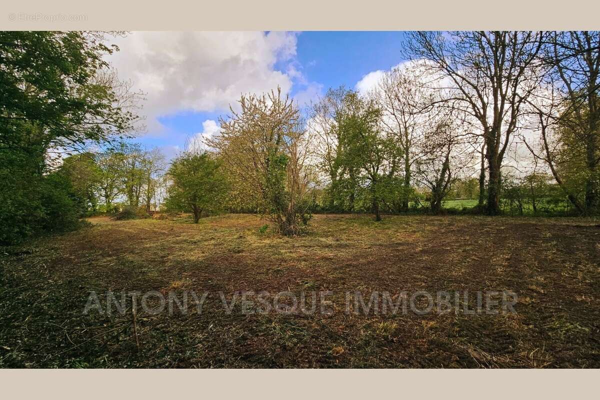Terrain à AGON-COUTAINVILLE
