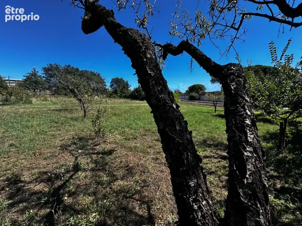 Terrain à PUGET-SUR-ARGENS