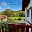 Photo 1 - Appartement à ASCAIN