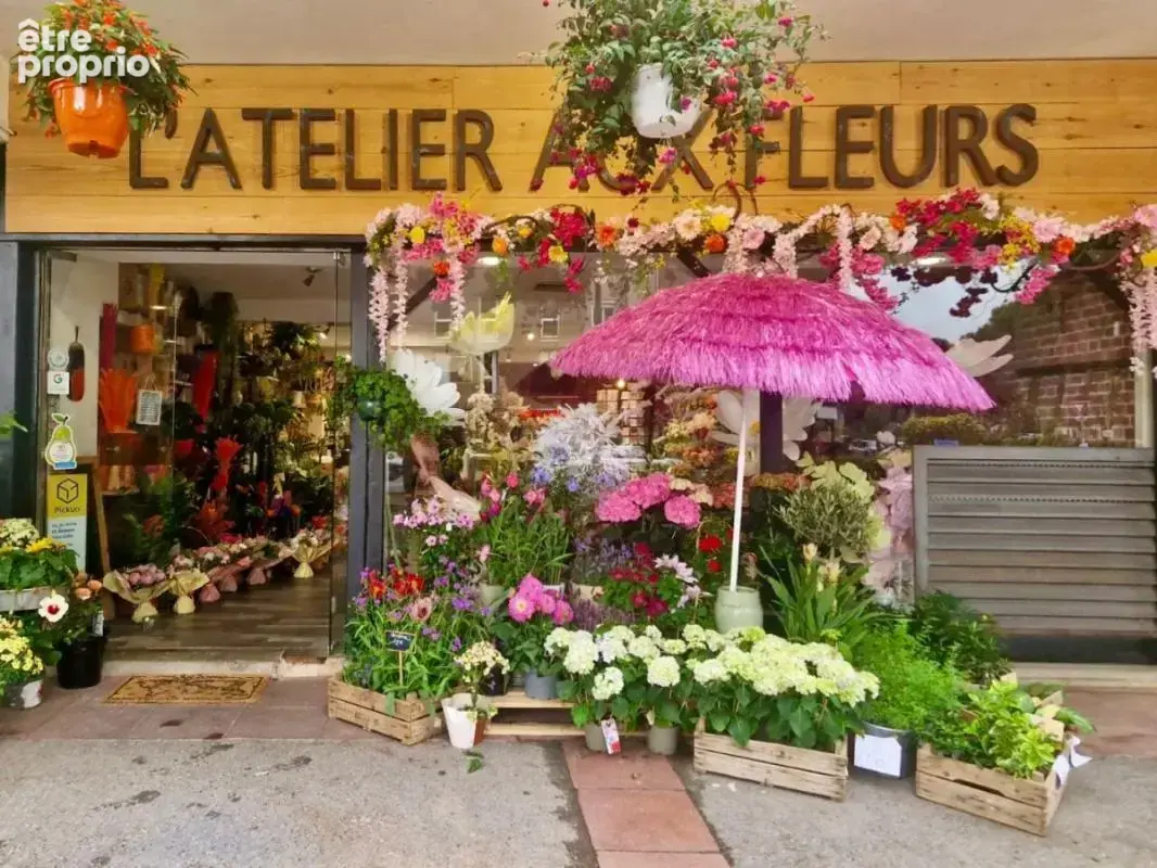 Commerce à PLAN-DE-CUQUES