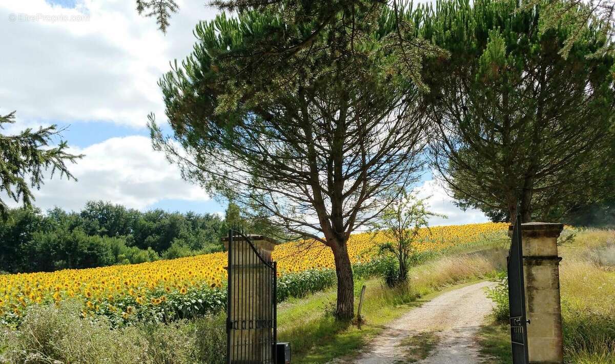 20160728163205 - Maison à VIC-FEZENSAC