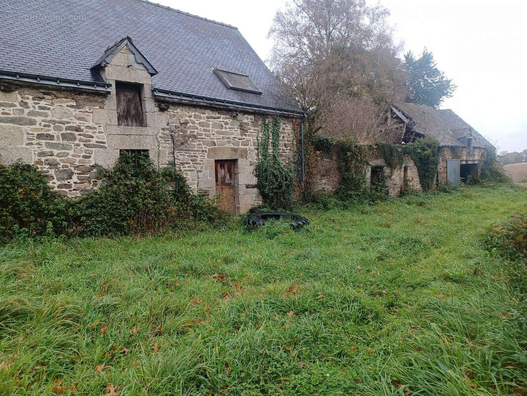 Maison à SAINT-THURIAU