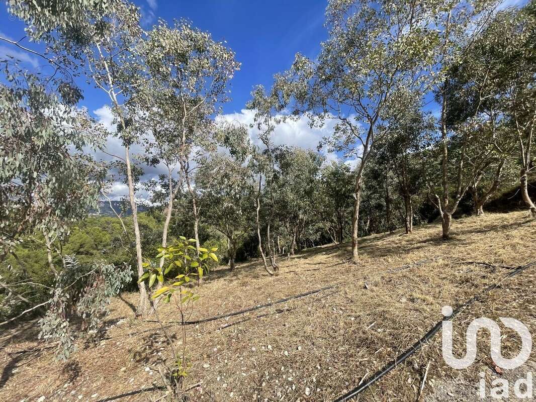 Photo 6 - Terrain à NICE