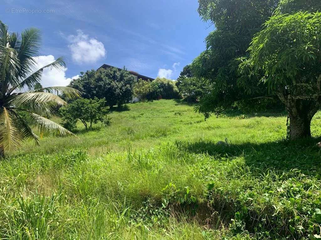 Terrain à SAINTE-LUCE