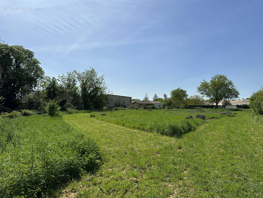 Terrain à AMURE