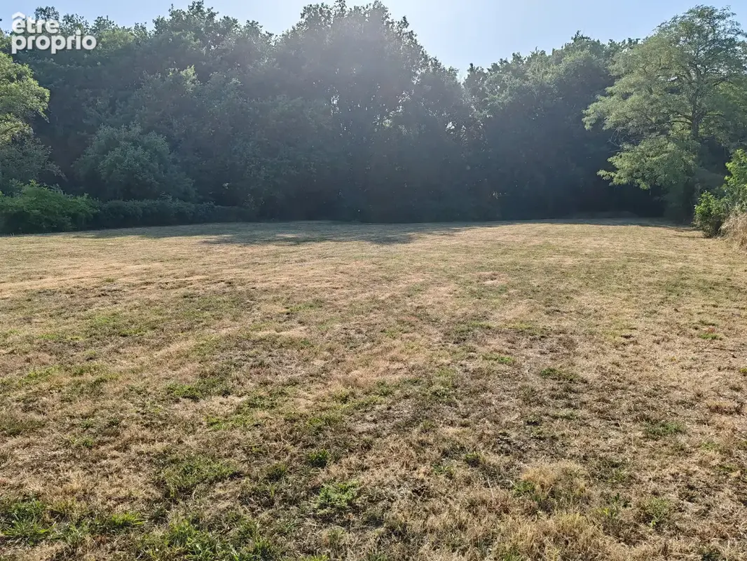 Cambernard - Terrain viabilisé à vendre de 2099m2 - photo 2