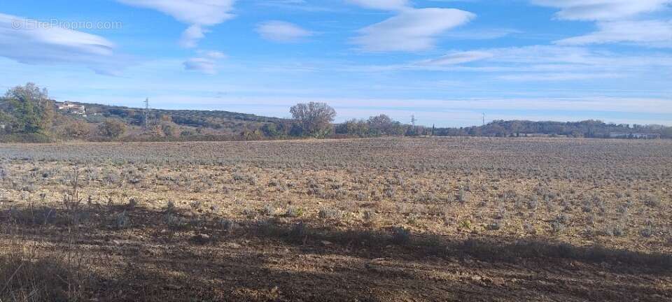 Terrain à BARJAC