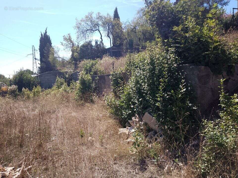 Terrain à SANARY-SUR-MER