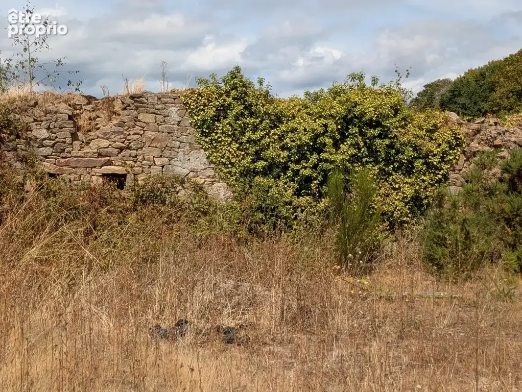Nostang propriété composée d'une maison en pierre à rénover avec trois dépendance un puits et 21 hectares environ - photo 22