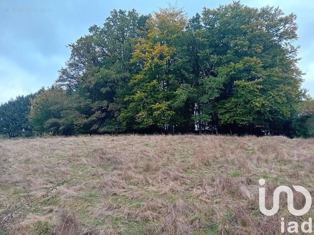 Photo 4 - Terrain à LAFEUILLADE-EN-VEZIE