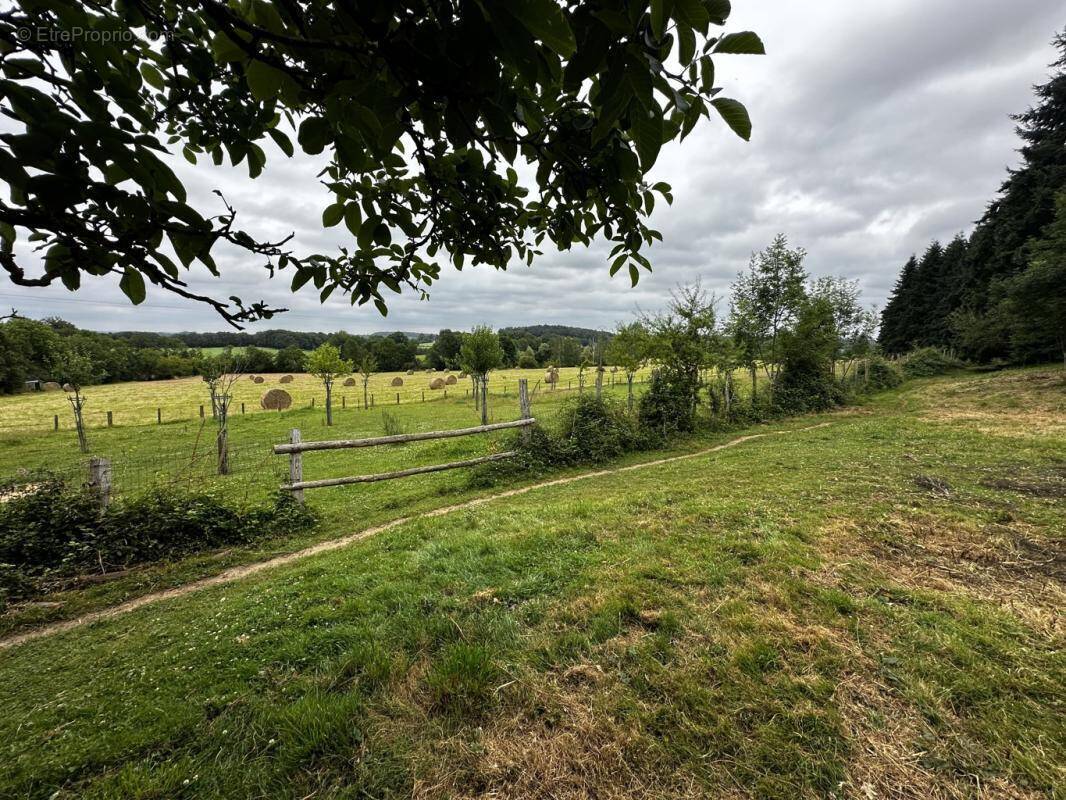 Terrain à SAINT-CYR-LA-ROSIERE