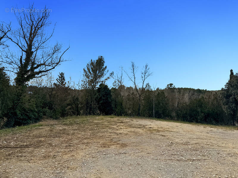 Terrain à MONTFERRIER-SUR-LEZ