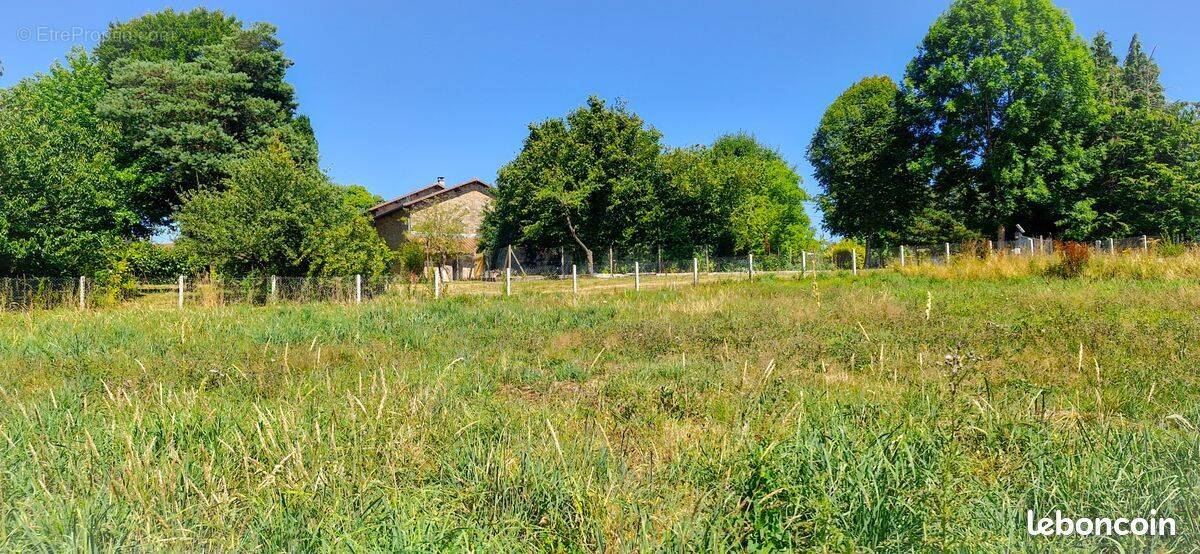 Terrain à COUZEIX