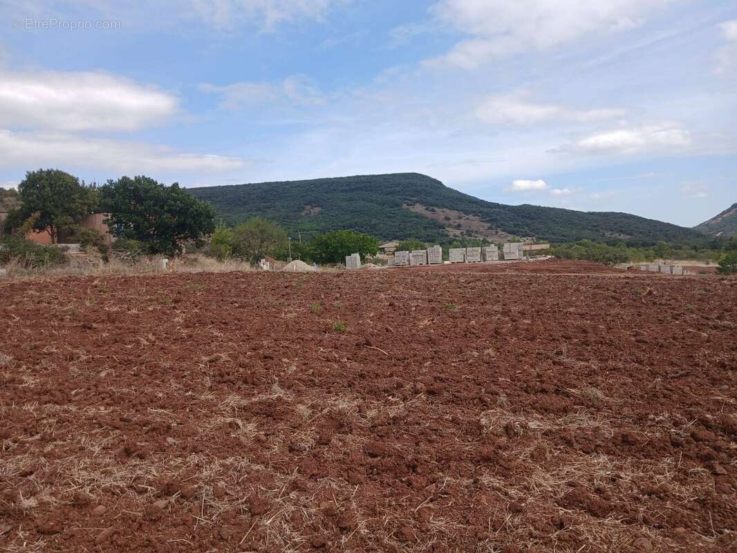 Terrain à OCTON