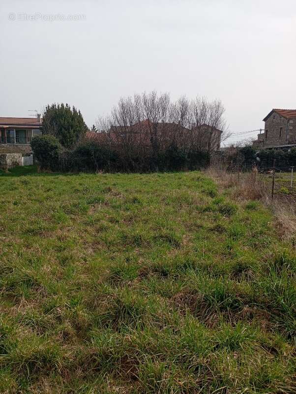 Terrain à SAINT-VALLIER
