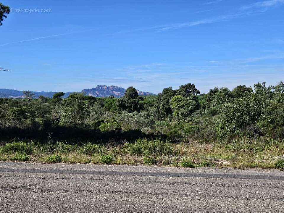 Terrain à PUGET-SUR-ARGENS