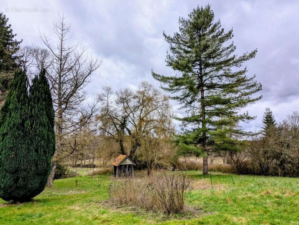 Maison à LANGEAIS