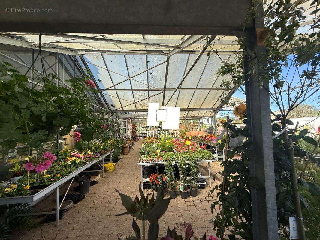 Commerce à LES VANS