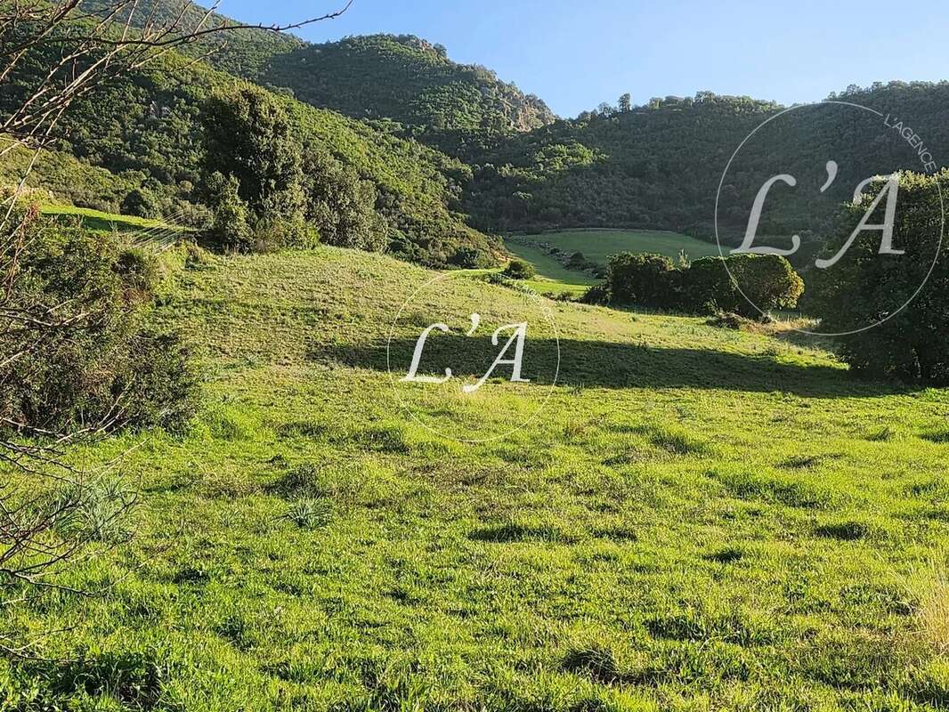 Terrain à BASTELICACCIA