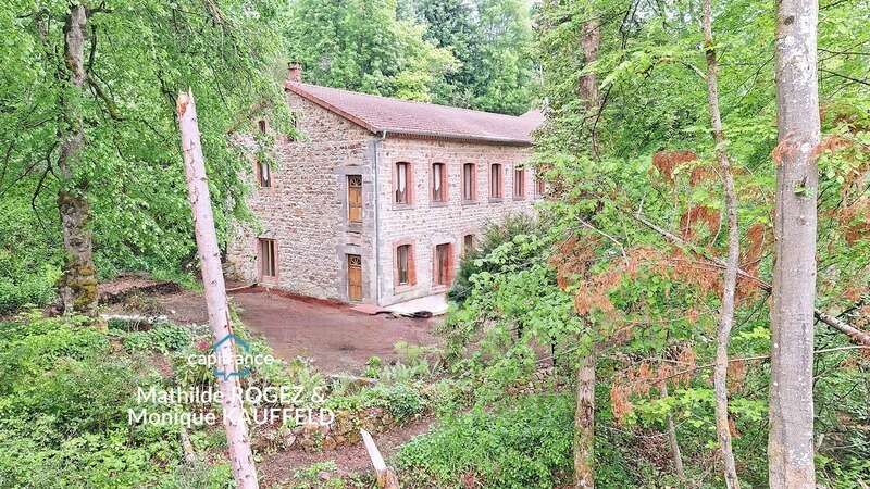 Grande demeure de charme + gîte + grand terrain - Tours-sur-Meymont - photo 2