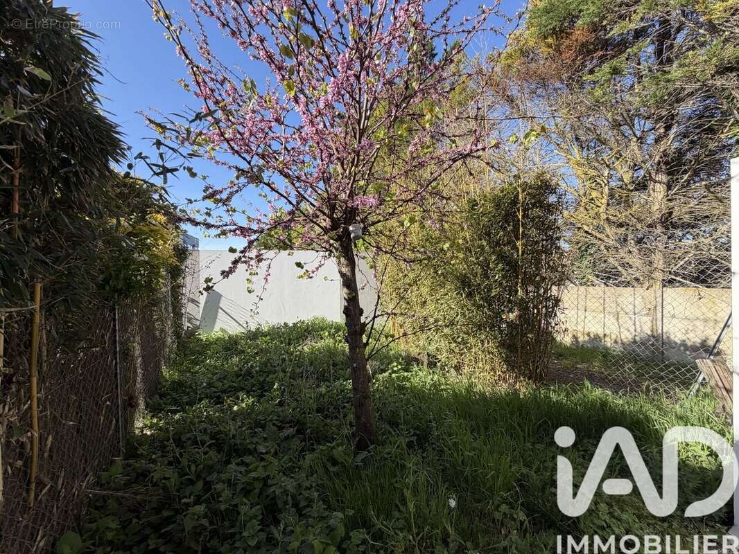 Photo 7 - Maison à ANGOULINS