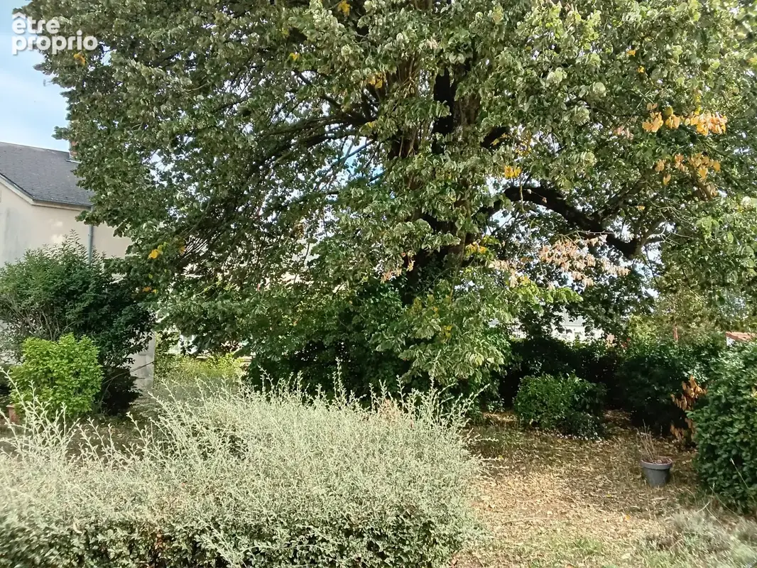 Maison de ville - photo 6