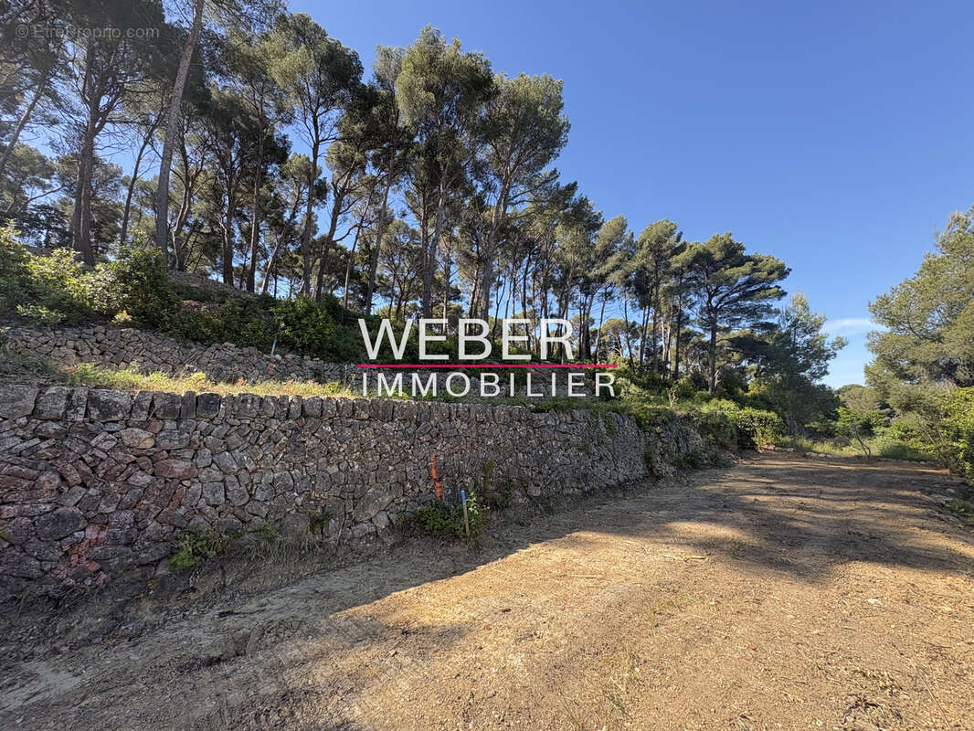 Ollioules - terrain a batir 6400 m2- vue degagee - photo 5