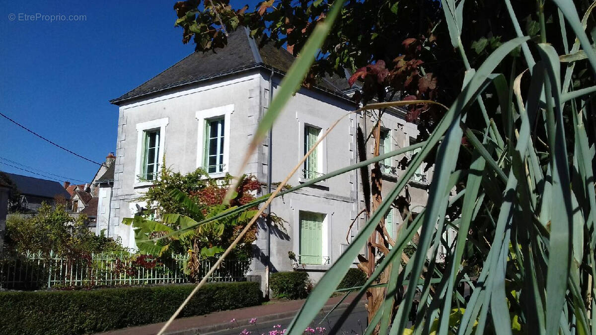 Maison à LE PETIT-PRESSIGNY