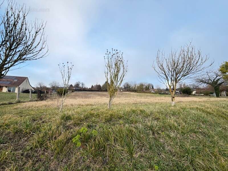 Terrain à AUBIGNE-RACAN