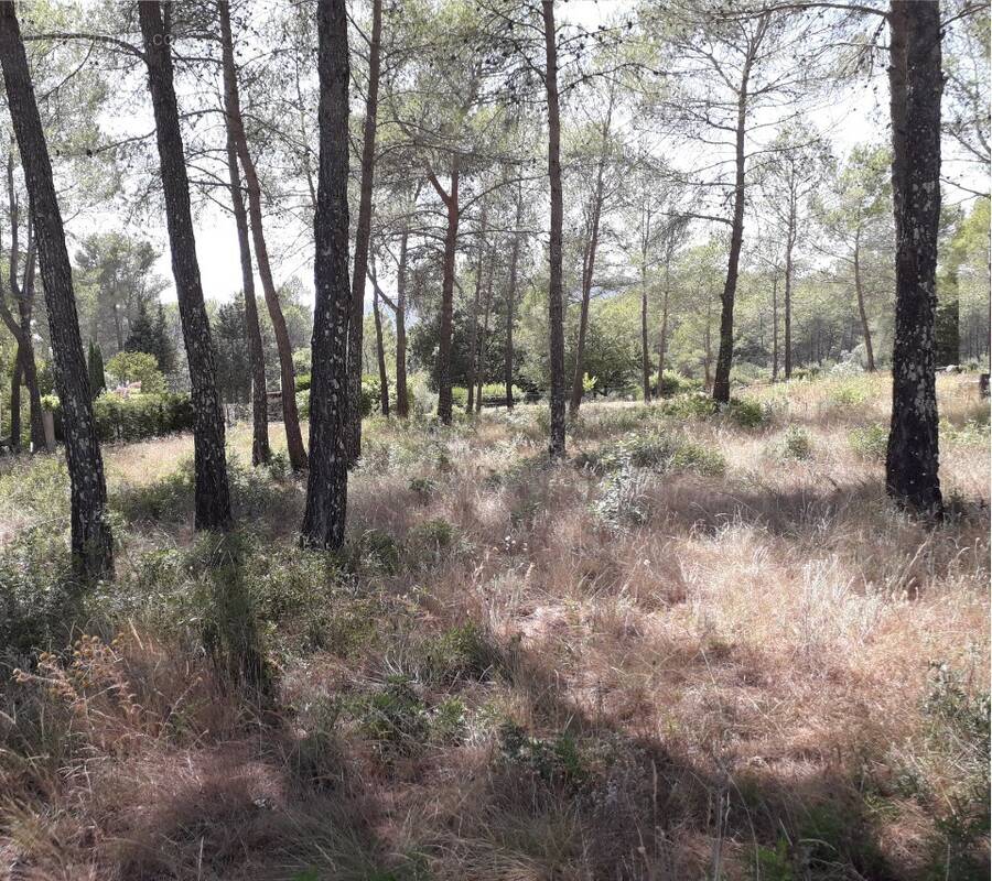 Terrain à FREJUS