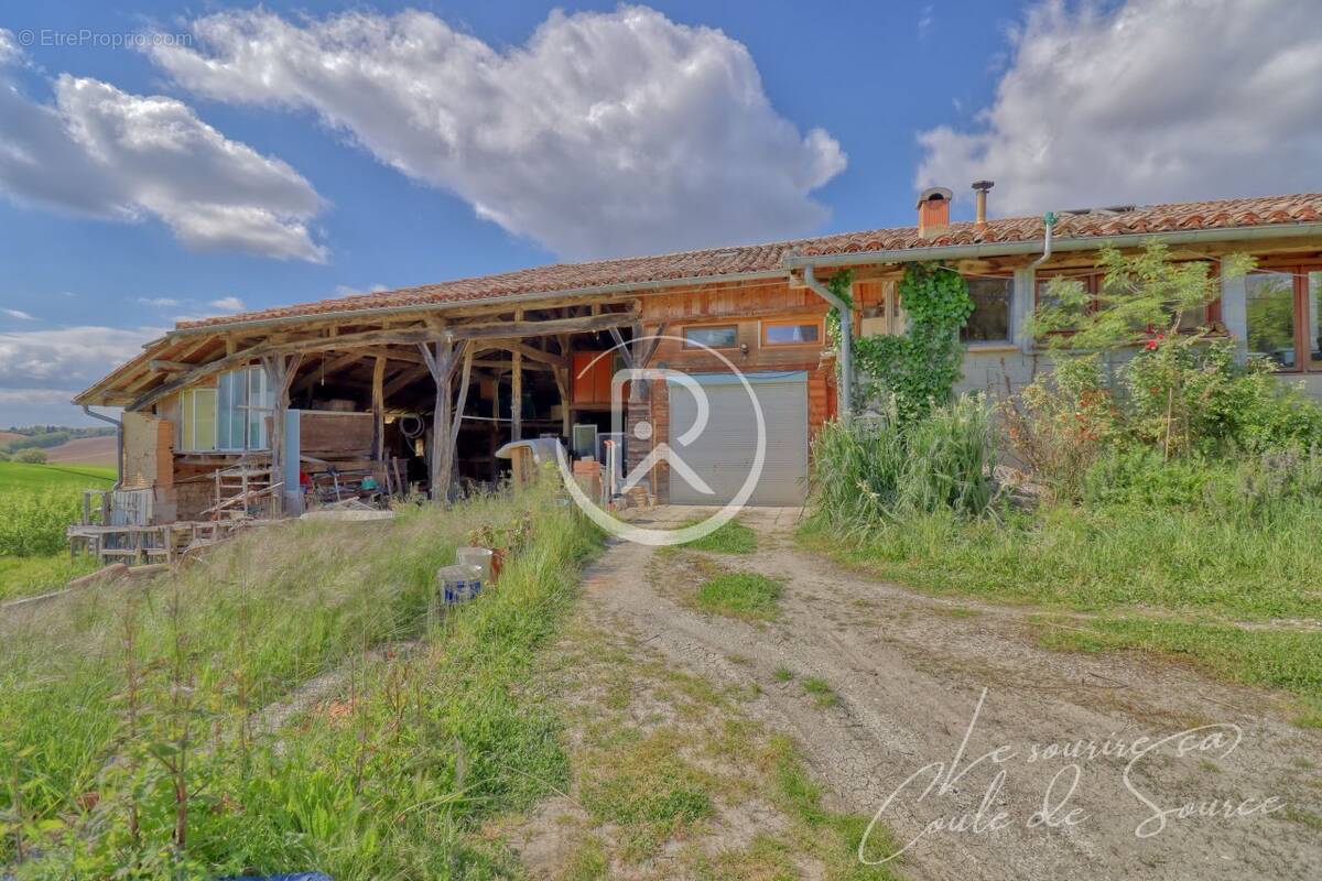 Grange_Terrain_Lomagne_R - Maison à BEAUMONT-DE-LOMAGNE