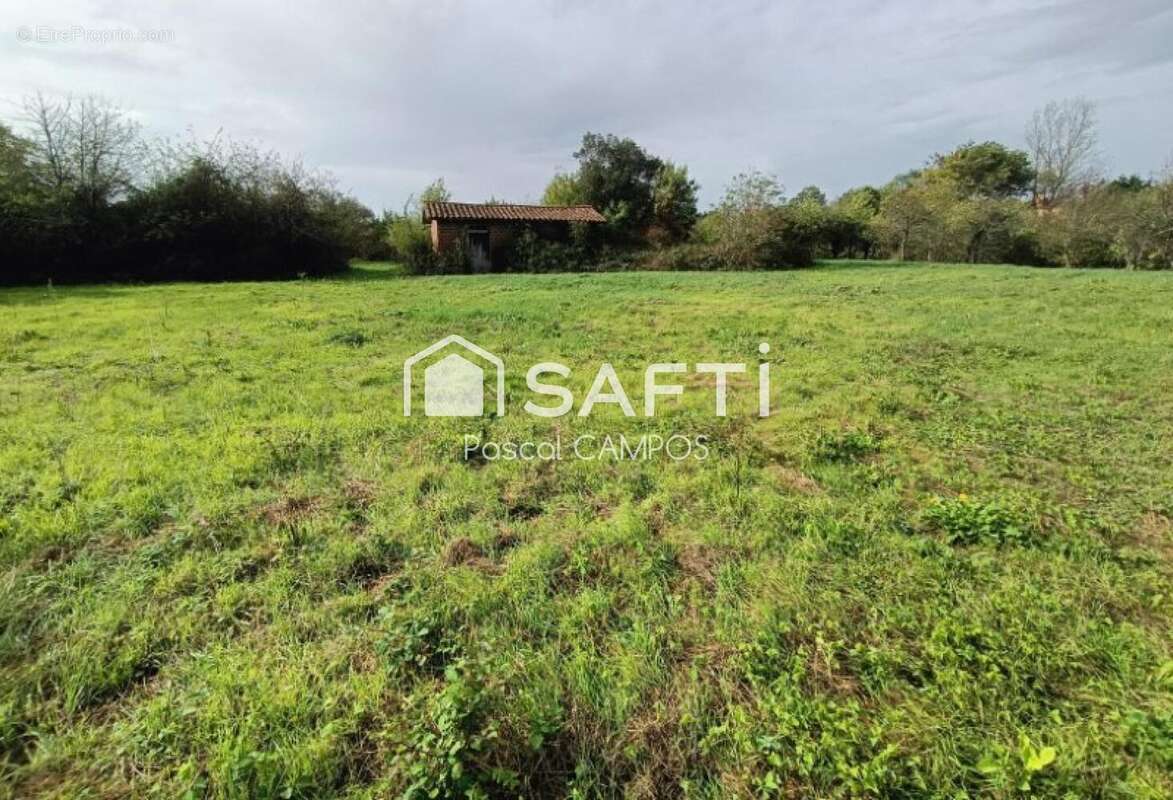 Photo 4 - Maison à MAZERES