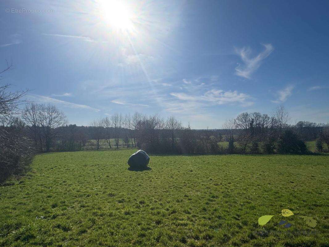 Terrain à RILHAC-TREIGNAC