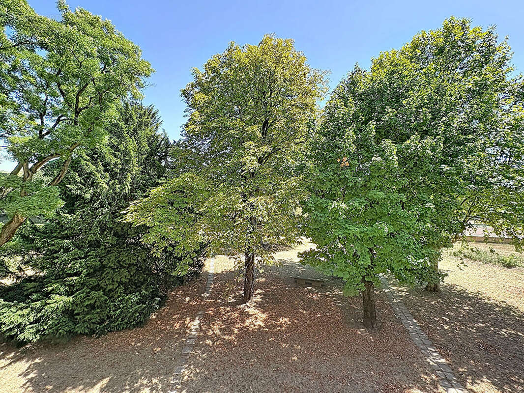 A VENDRE Appartement T3 Caluire Et Cuire 4 pièce(s) 85.22 m2 avec balcon - photo 4