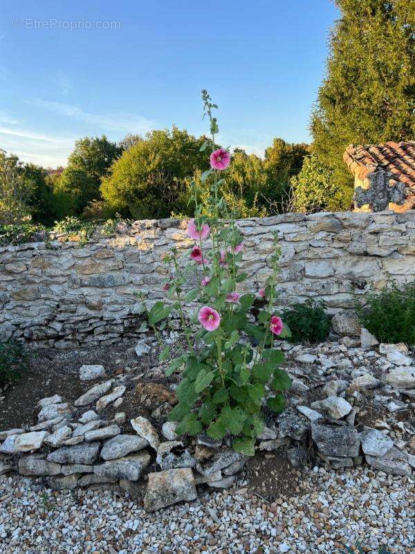 Maison à NANTEUIL-EN-VALLEE