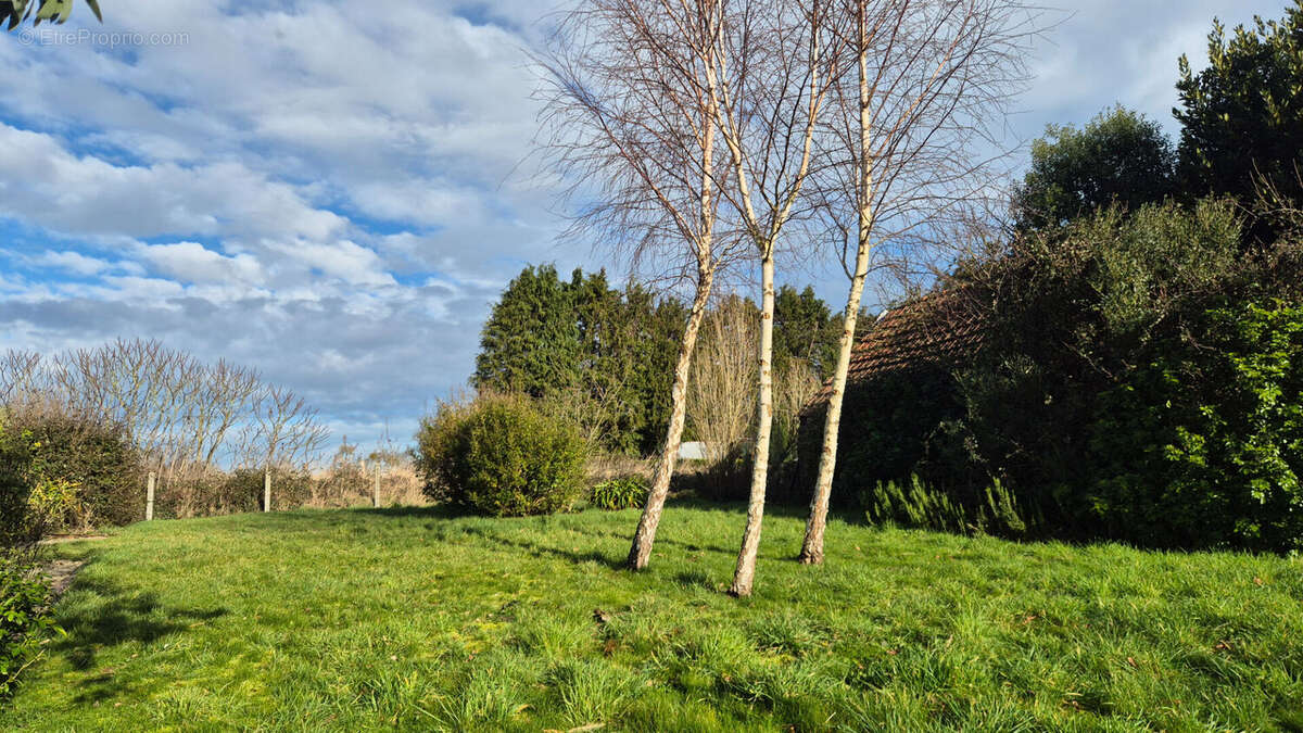 Maison à AUMEVILLE-LESTRE