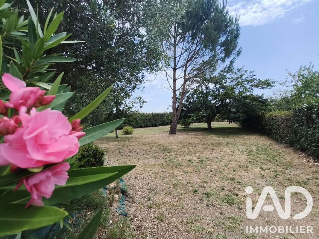 Maison 99 m² à Haut-Mauco  - photo 3