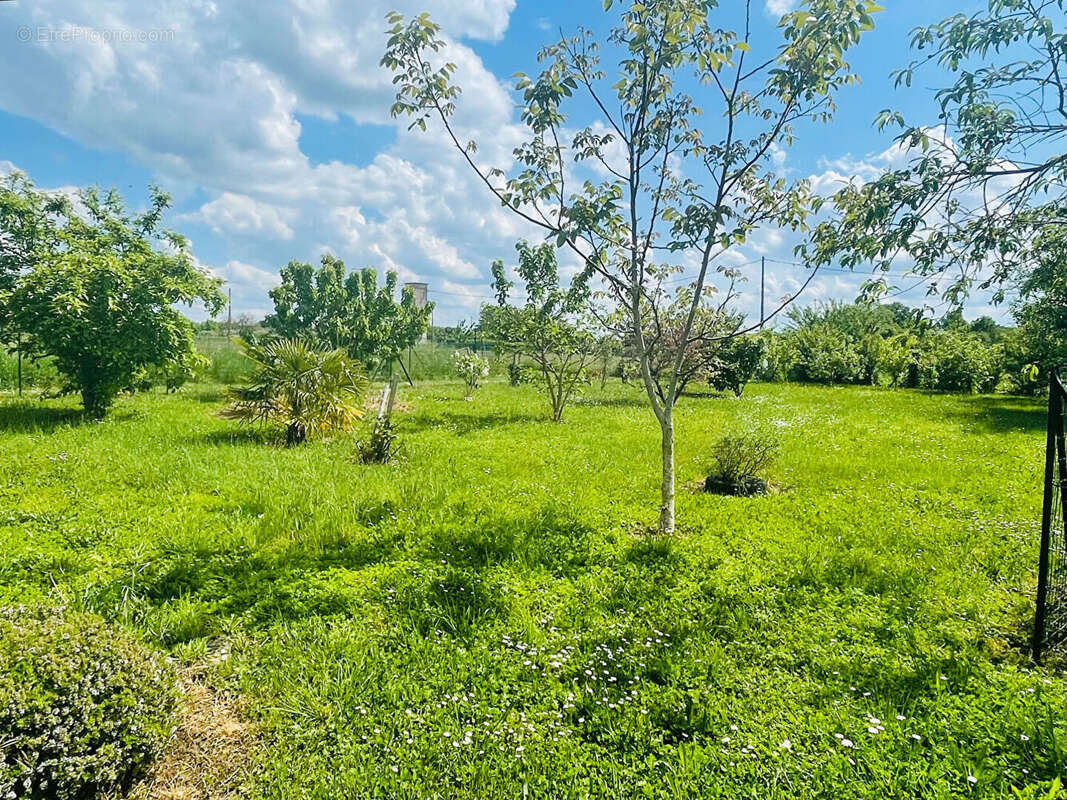 Maison à MAISONNEUVE